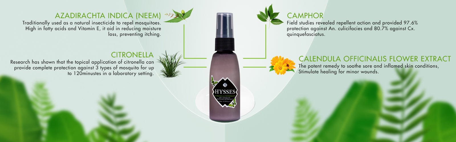 What Makes a Mosquito Repellent Actually Work? The Science Behind Hysses Aromatherapy Sprays