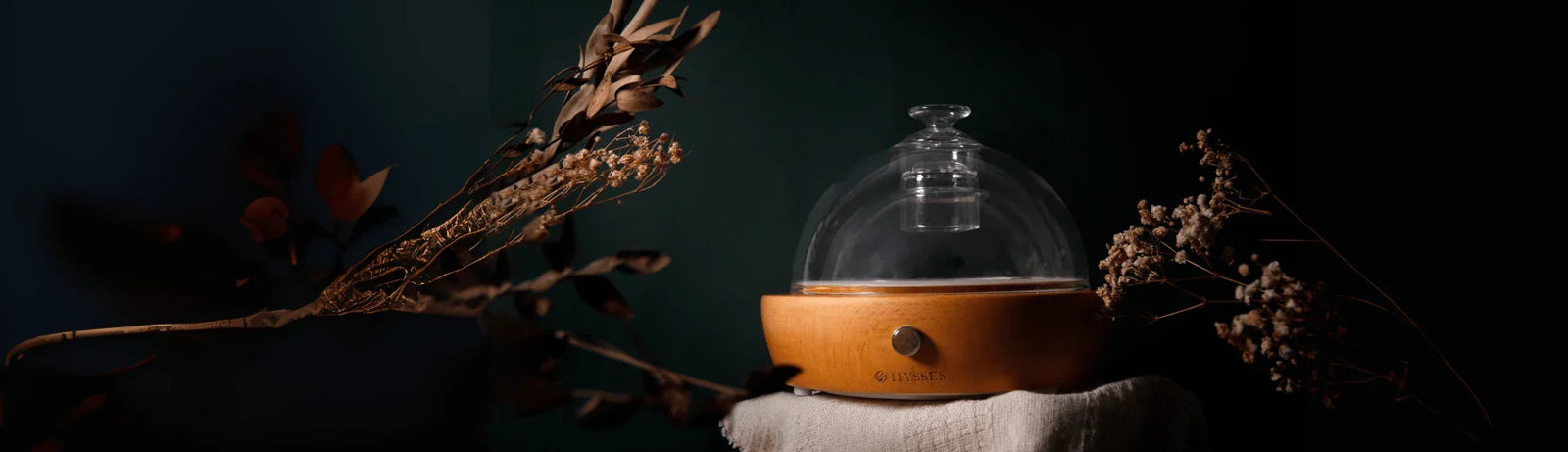 Ultrasonic Diffuser vs Nebuliser: Which Suits Your Home?