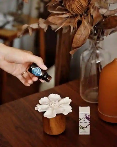 How to Diffuse Essential Oils at Home and in Your Car