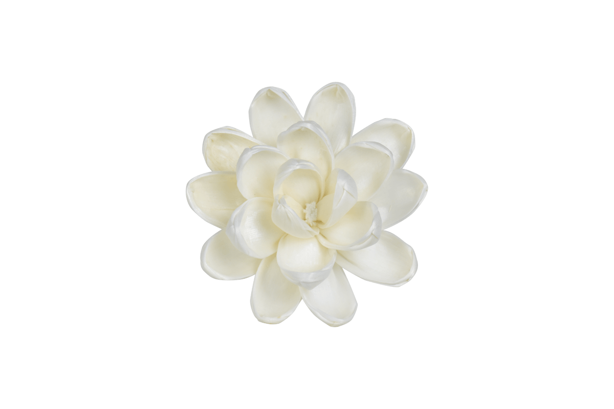 HYSSES Home Scents Solar Flower Diffuser Refill - Olive Big Bloom