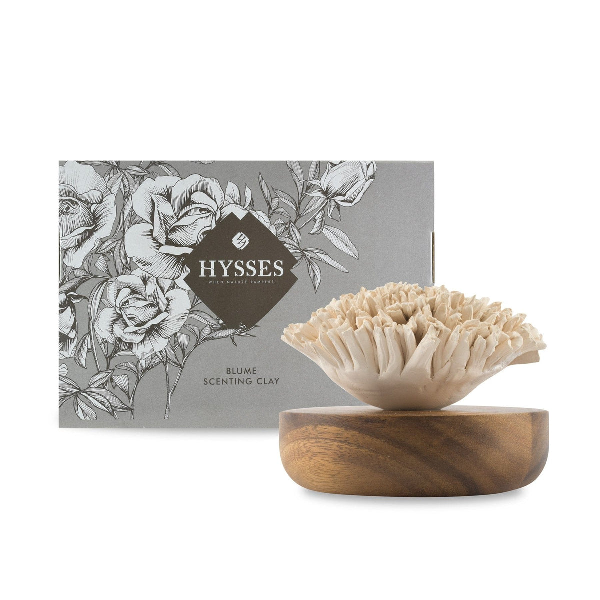 Photo of Carnation Blume