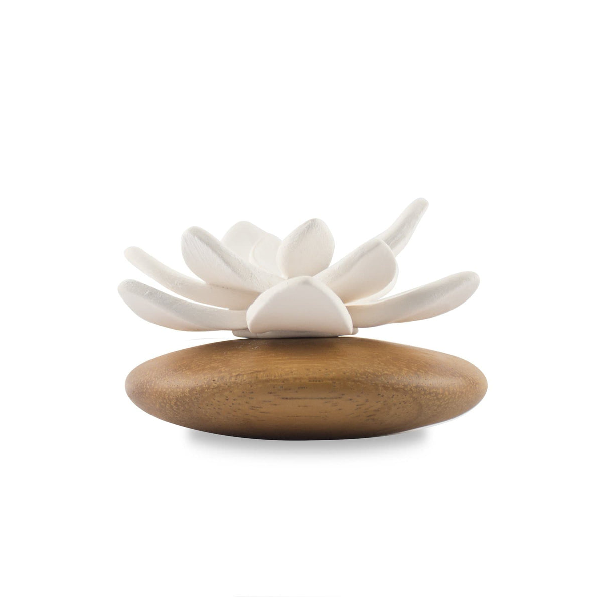 Hysses Home Scents Succulent Diffuser Scenting Clay Rosa Debay